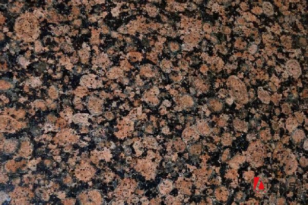 Василевский